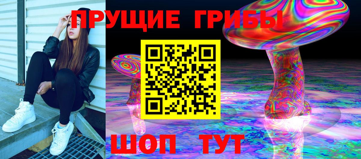 Южноуральск  где купить наркоту  Вход с VPN  Галлюциногенные грибы Psilocybine cubensis 