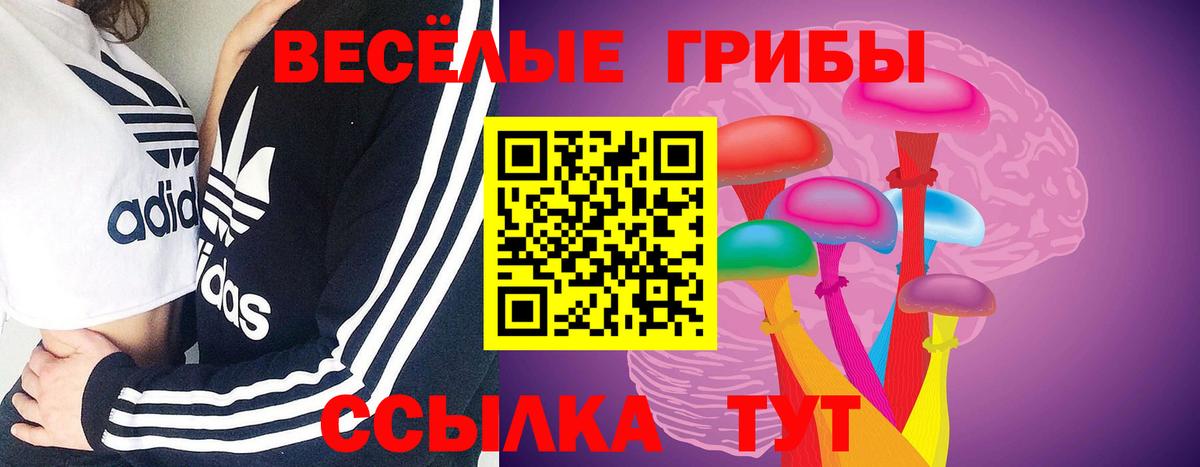 Псилоцибиновые грибы ЛСД Южноуральск